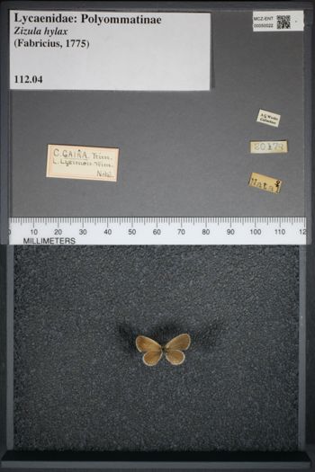 Media type: image;   Entomology 50022